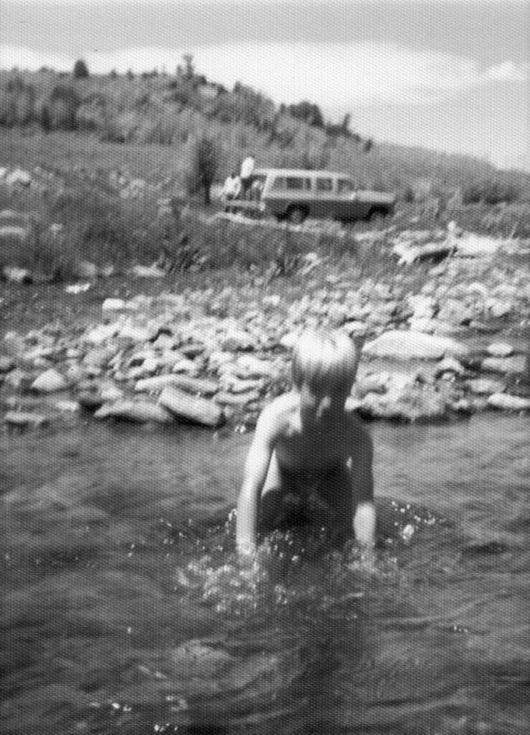 Cattle drive 5 (2).jpg