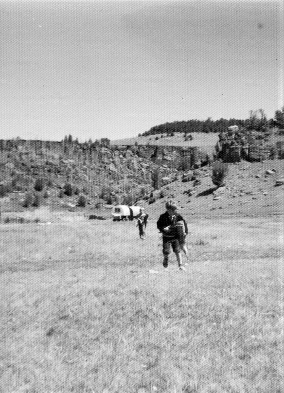 cattle drive 8 (2).jpg